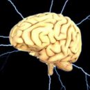 Учёные выяснили, как сон влияет на производительность человека