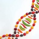 Эксперты прокомментировали эффективность индивидуальных ДНК-диет