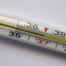 В Минздраве температуру 37,0° признали нормальной
